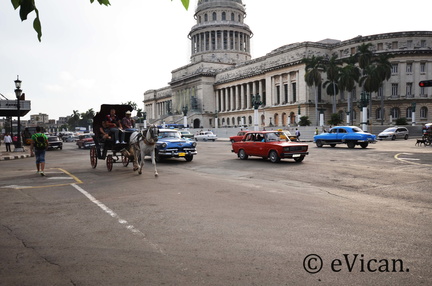  Habana67